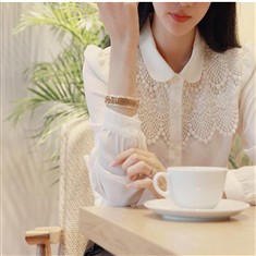 秋季新款韩版修身女长袖时尚气质蕾丝花边大码雪纺衬衫
