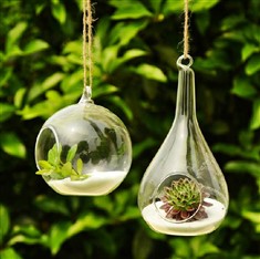 凡蒂尼悬挂玻璃透明花瓶水培花器多肉植物花瓶2款可选