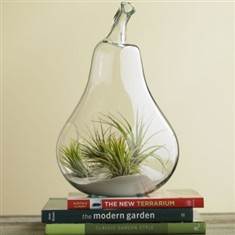 创意水果形透明玻璃花瓶家居饰品工艺摆件
